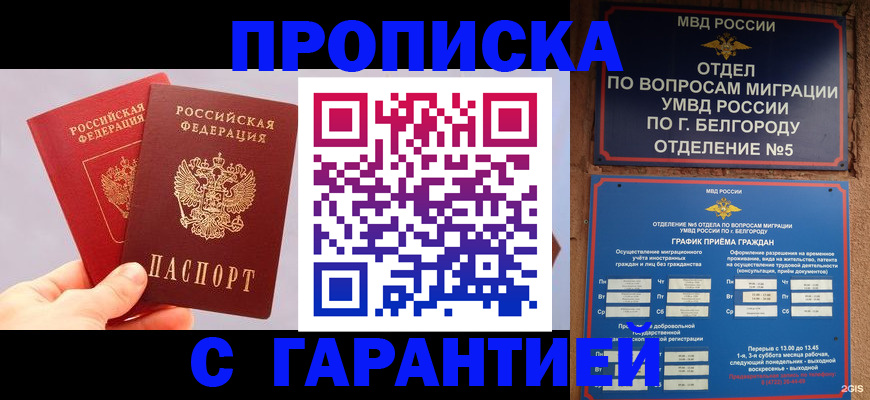 прописка 2025 в Цимлянске